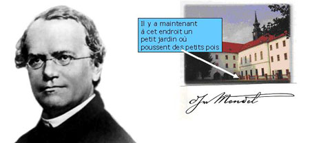 Figure 10 : Gregor Mendel (1822-1884), le fondateur des lois de l’hérédité et le jardin du monastère de Brno (capitale de la Moravie). Mendel fit pousser ses petits pois dans ce monastère, où il passe une grande partie de sa vie à partir de 1843.