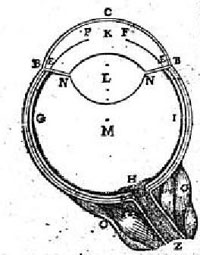 Figure 10 : Schéma de l’oeil, Dioptrique Discours troisième.