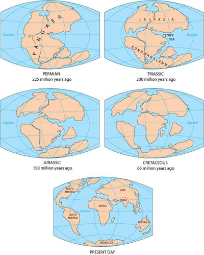 Figure 15 : Reconstitution contemporaine de la dérive des continents jusqu’à nos jours (source: This Dynamic Earth: The Story of Plate Tectonics. Reston, Virgina, USA: United States Geological Survey)