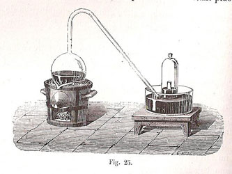 Figure 17 : Illustration de Debray & Joly, 1883.