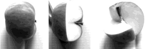 Figure 1 : 1a. La pomme est entière ; 1b. On en coupe un quart ; 1c. On en coupe un second quart. La demi-pomme (on a enlevé deux quarts de pomme) en 1c est chirale (image issue de Dézarnaud-Dandine & Sevin, cf. NbdP 1)