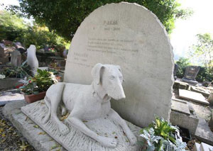 Figure 2 : Une stèle du cimetière de chiens d’Asnières-sur-seine (photo SIPA/Archives)