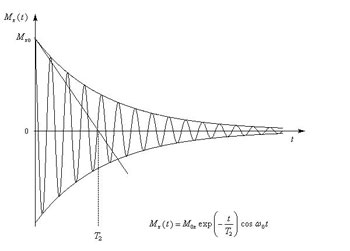 Figure 3 : Courbe sinusoïde amortie par exponentielle négative, solution de l’équation de la chaleur sous sa forme simple (dessin Lycée Faidherbe, Lille,