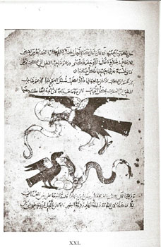 Fig. 3 : Planche XXI, extraite de Ambrosian fragments of an illuminated manuscript containing the zoology of al-Gâhiz, édité par Oscar Löfgren, (recueil de travaux publié par l’université d’Uppsala, 1946).