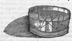 Figure 3 : Analogie de la cuve remplie de raisins, schéma de Descartes, Dioptrique Discours premier