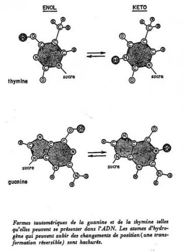 Figure 4 : La légende (traduite en français) est tirée du récit La double hélice.