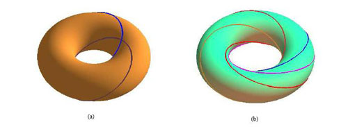 Figure 4 : Une des deux familles des cercles de Villarceau (à dr.). La figure (a) à gauche représente les deux cercles de Villarceau issus de la coupe par un plan bitangent, définissant chacun deux familles. La rotation autour du tore du cercle supérieur bleu clair en (a), ou la rotation du plan bitangent, donne la famille de cercles représentée en (b), à gauche. Il s’agit d’une des deux familles de cercles de Villarceau. On constate que le cercle inférieur bleu foncé en (a) ne coïncide avec aucun des cercles en (b) : il appartient à la deuxième famille. Les deux familles sont différentes car, à la différence des cercles méridiens, il n’y pas invariance (retour à la même position) par rotation à 180° : le retour à la même position se fait par rotation complète à 360° et définit deux familles de cercles.