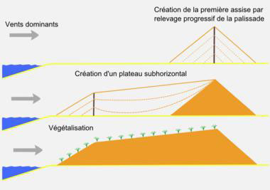 Figure 6 : Schéma explicatif contemporain de la fixation des dunes d’Aquitaine. Cette opération, menée dès le début du XIXe siècle et pendant une cinquantaine d’années par les Ponts et Chaussées, est ainsi évoquée par Reclus : « l’on a su fixer par des plantations la chaîne de dunes mobiles qui, sur une longueur de plus de 200 kilomètres, marchait à l’assaut des landes de Gascogne » (image WikiCommons, auteur Larrousiney).