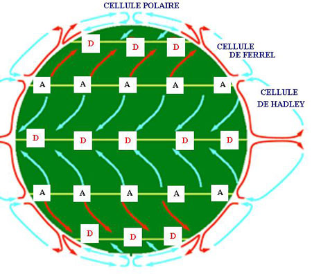 Figure 7 : Représentation schématique et vulgarisée des cellules de circulation atmosphérique. Entre les tropiques, les cellules de Hadley avec les alizés d’est en ouest. Entre les tropiques et les cercles polaires, les cellules de Ferrel avec vents d’ouest dominants.