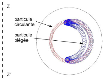 Figure 9 : Rabattements sur un plan méridien du tore de trajectoires de particules chargées confinées dans un tokamak. ZZ’ est l’axe vertical du tore. Une partie reste piégée dans les régions à champ faible et subit l’effet miroir magnétique. Les autres (circulantes) ont accès aux zones à champ fort tout en restant confinées.