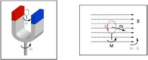 Figure A16 : Principe du moteur asynchrone. Le champ magnétique B tourne à une vitesse angulaire ω0, la spire conductrice fermée à ω, plus petite. Vu du référentiel de la spire, le champ magnétique tourne alors à une vitesse ω0-ω, la variation du flux magnétique induit donc un courant électrique I, donc un moment magnétique m, qui interagit avec le champ B pour donner le couple de forces M, qui équilibre le couple résistant dû à la charge mécanique (© Ilarion Pavel).