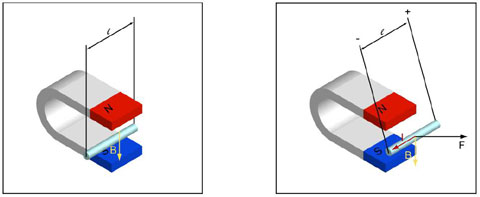 Figure A3 : La force de Laplace. Lorsqu'on fait passer un courant électrique à travers un conducteur suspendu par deux fils verticaux et situé dans un champ magnétique, le conducteur subit une force F, proportionnelle au courant I, au champ magnétique B et à la longueur du conducteur, et perpendiculaire au plan formé par le conducteur et le champ. Dans ce cas précis, l'angle entre le conducteur et le champ est de 90° (© Ilarion Pavel).