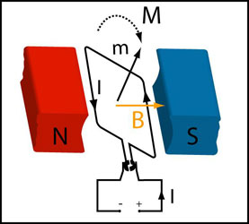 Figure A5 : Le principe du moteur électrique. Au moment où le moment magnétique du cadre m s'aligne avec le champ magnétique de l'aimant permanent B, la rotation du cadre est censée s'arrêter. Cependant, au même moment, la rotation du commutateur change le sens du courant dans la spire, donc celui du moment m. Pour l'aligner à nouveau dans la direction du champ magnétique, le cadre doit tourner et le processus se répète (© Ilarion Pavel).