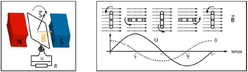 Figure A7 : Principe du générateur électrique. En variant la surface traversée par le champ magnétique B, la rotation du cadre mobile fait varier le flux Φ, ce qui induit une tension électromotrice U dans le circuit. Si on branche un consommateur R, un courant alternatif apparaît dans le circuit (© Ilarion Pavel).