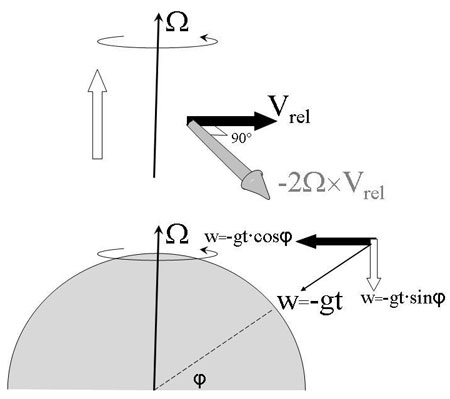 Figure 10 : La vitesse d'un corps en chute libre –gt peut être décomposée n un terme perpendiculaire à l'axe terrestre et un terme parallèle. Seul le premier subira une déviation.