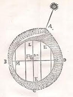 Figure 15 : Le schéma de Sarrabat dans sa discussion portant sur les vents des zones subtropicale et tempérée.